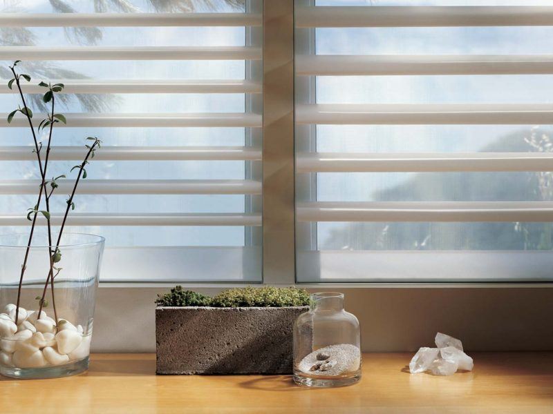 Hunter Douglas Pirouette shades behind a class vase and planter