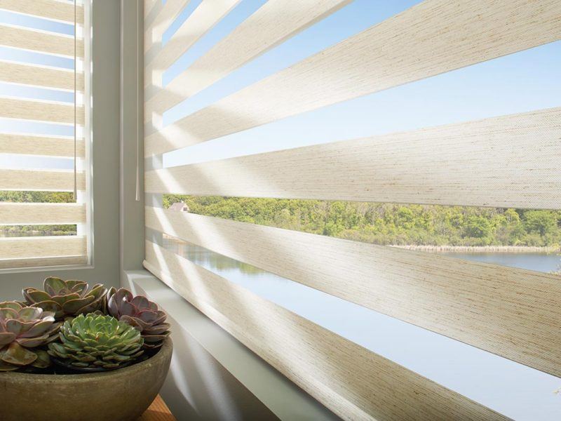 a planter of succulents sits next to a window with Hunter Douglas roller shades