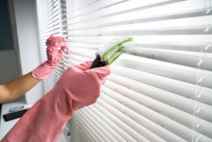 Person Professionally Cleaning Window Blinds and shutter From Dirt