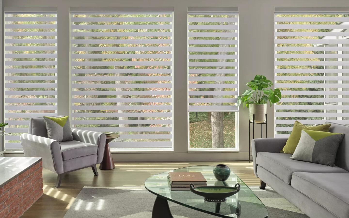 banded-shades-livingroom-clearview